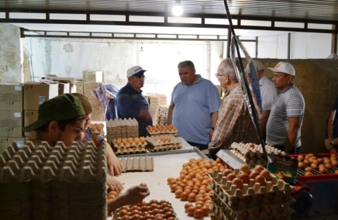 Нариман Абдулмуталибов и Мухтарбий Аджеков осмотрели автоматизированные мощности по производству яйца в Буйнакском районе