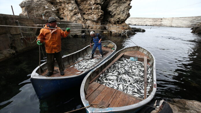 Республика Крым прочно удерживает позиции в первой пятерке по промыслу рыбы в РФ